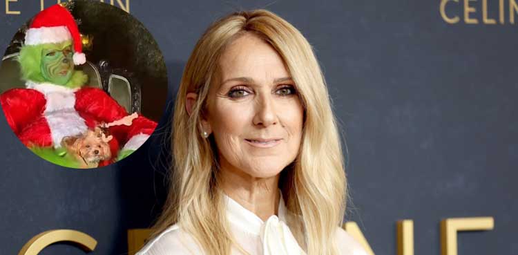 Celine Dion makes awareness post in Grinch attire