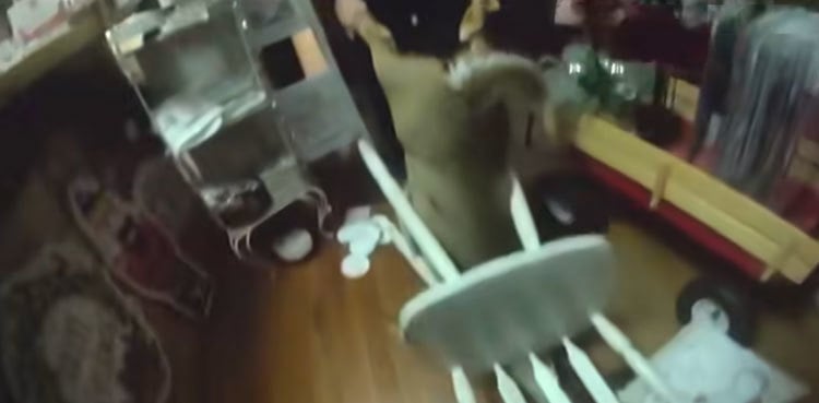 Deer breaks into Tennessee Christmas store, gets stuck in chair