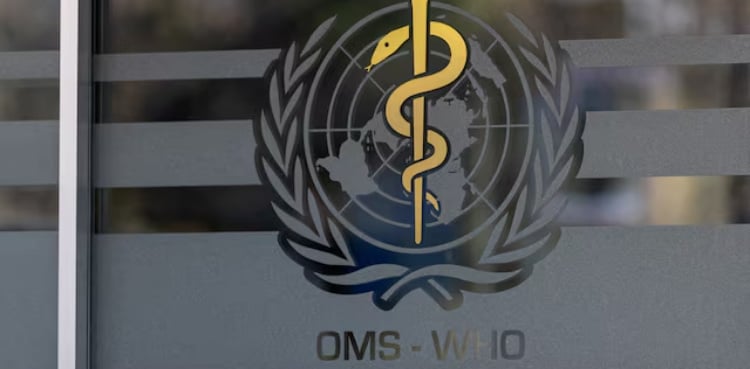 WHO says over 100 killed in attacks on Sudan kindergarten and hospital