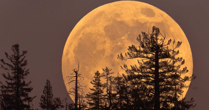 First Supermoon of 2026: 'Wolf Moon' rises this Saturday