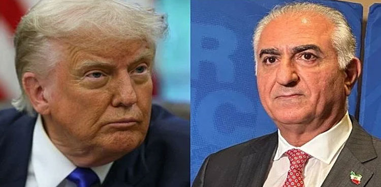Donald Trump questions Reza Pahlavi's ability to garner support in Iran