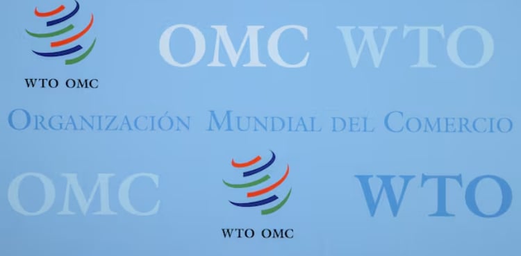 WTO panel backs China in case against US clean energy subsidies