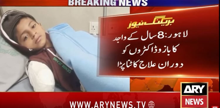 8-year-old boy loses arm in Lahore lion attack 8-year-old boy loses arm in Lahore lion attack