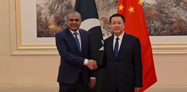 Naqvi seeks China’s AI-based technologies to combat terrorism