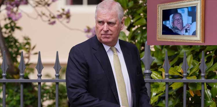 Andrew Mountbatten-Windsor arrest photo put on display in the Louvre by activists