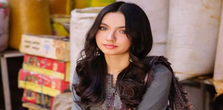 When is Aina Asif Getting Her ID Card? Actress Shares Details