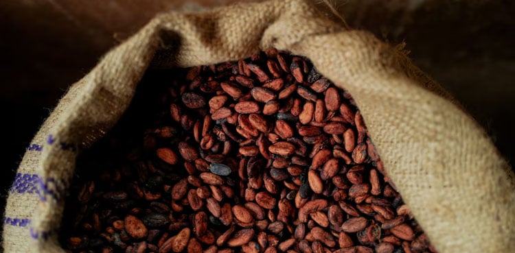 How did Ivory Coast and Ghana’s cocoa sales crisis come about?