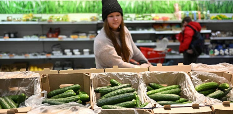 In Russia, the humble cucumber becomes latest symbol of rising wartime prices