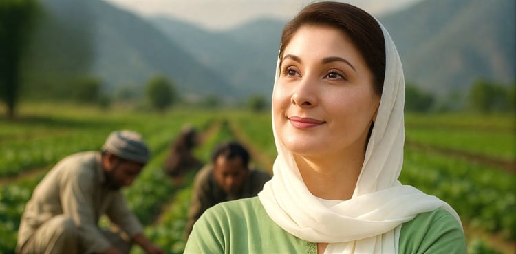 Punjab Achieves Historic Milestone with Record Potato Production: CM Punjab