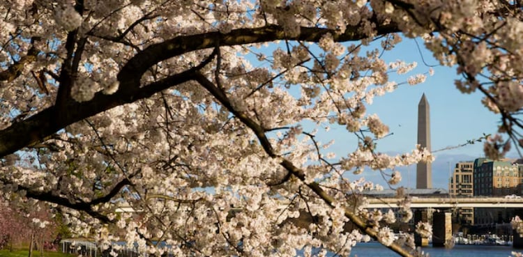 Trump administration sued for attempted overhaul of public golf course in Washington