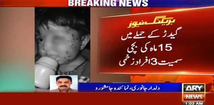 Jackal attack leaves three including infant injured in Nooriabad