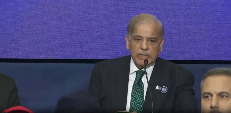 PM calls for independent, sovereign state of Palestine