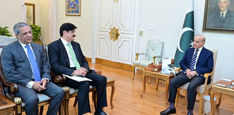 PM Shehbaz assures full cooperation to Sindh CM for timely project completion