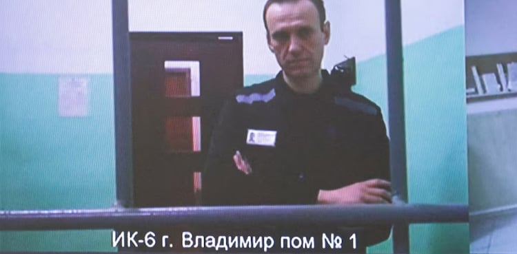 European allies say Navalny was poisoned by dart frog toxin