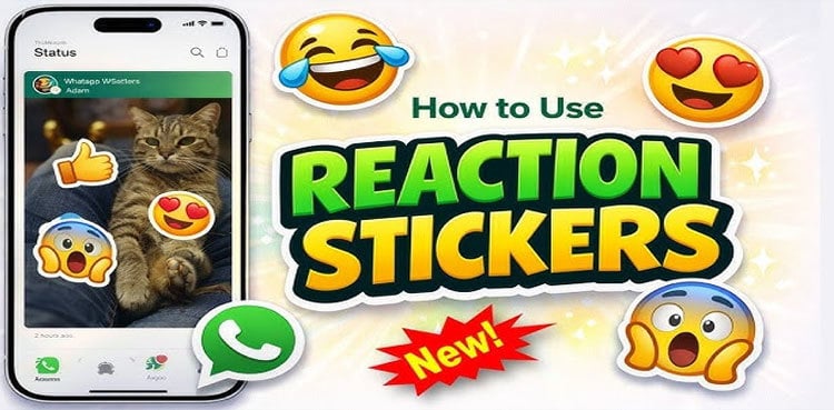 WhatsApp introduces exciting status reaction stickers feature