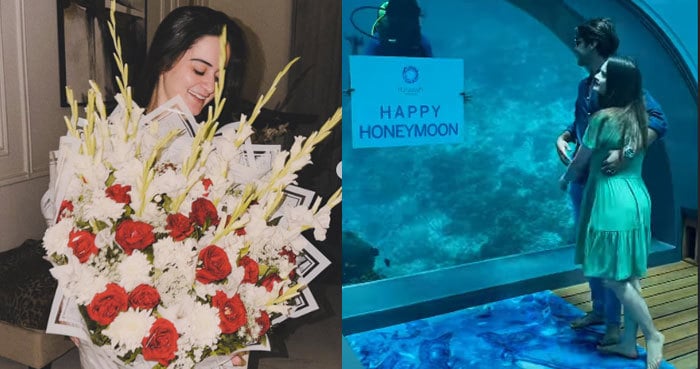 Aiman Khan, Minal share romantic Valentine’s moments with their husbands