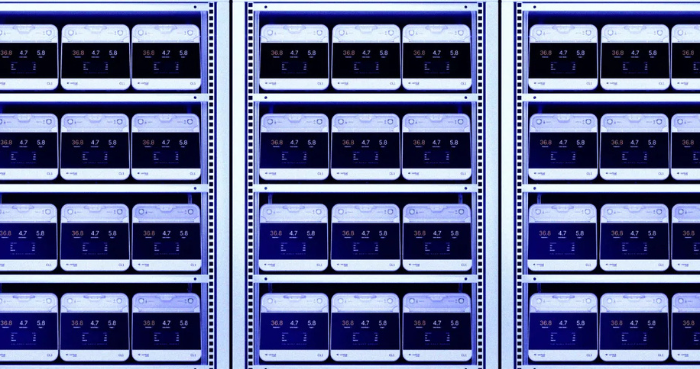 Human Brain Cell Computers to Power Energy Efficient Data Centers