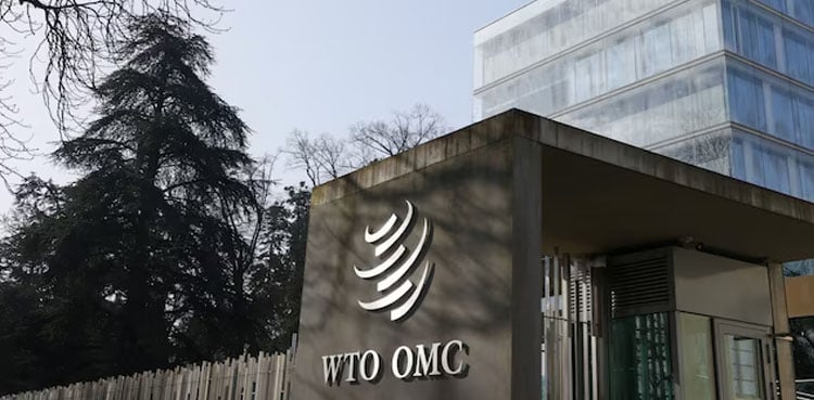 What is the World Trade Organization e-commerce moratorium that stops tariffs on digital downloads and streaming?