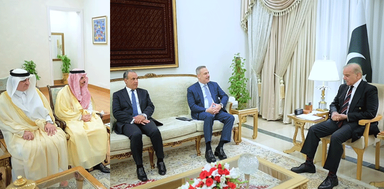 PM Shehbaz urges unity among Islamic countries in meetings with Saudi, Turkish, Egyptian FMs