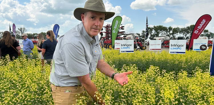 The Canadian GMO mustard wars: Dijon vs canola