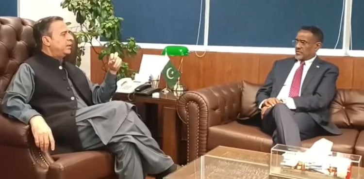 Pakistan weighs trilateral maritime trade alliance with Ethiopia, Djibouti