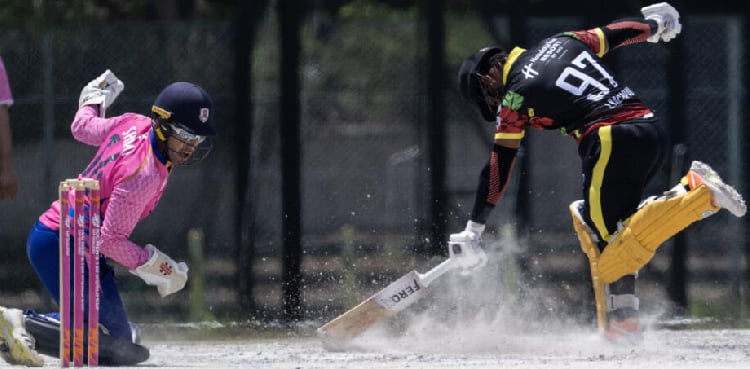 ‘Don’t understand it, but it looks fun’: cricket bowls Japan over