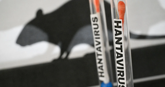 WHO warns of more hantavirus cases in ‘limited’ outbreak
