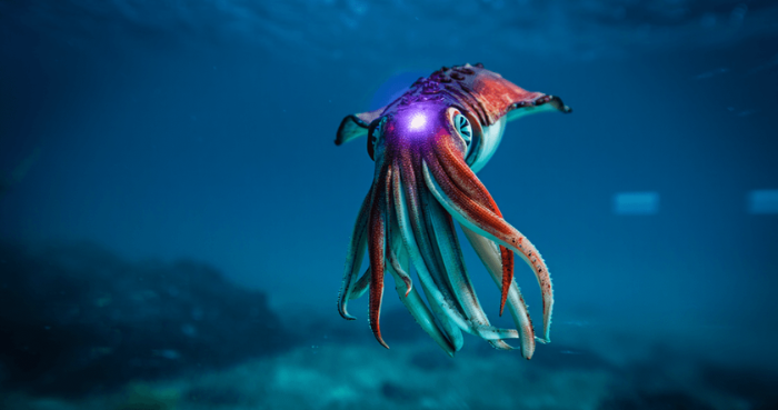 How Subnautica 2 Early Access changes leviathan combat and ocean survival