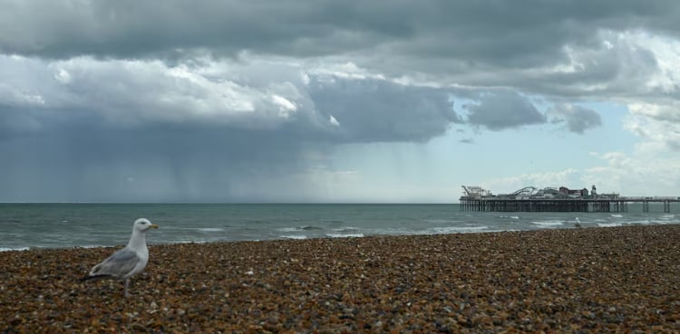 UK police pull bodies of three women from sea at Brighton