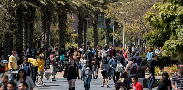 Schools reach out to Canvas hackers as breach hits US classrooms, source says