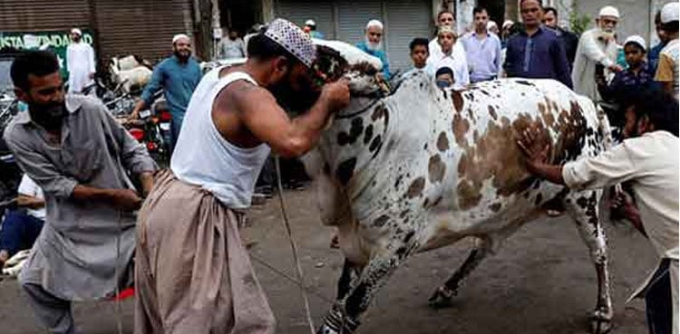 Pakistan celebrates Eid al-Adha with religious spirit and national unity