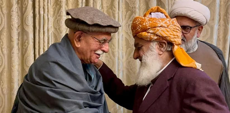 Opposition parties mull joint strategy during Fazal ur Rehman-Achakzai meeting