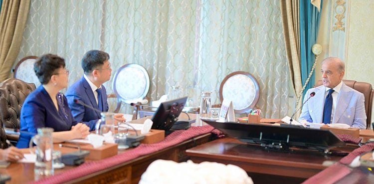 PM Shehbaz praises Pak-China ties during IBI delegation meeting