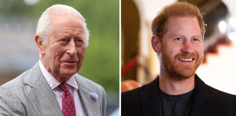 King Charles’s ‘Meticulous’ summer plan for Prince Harry