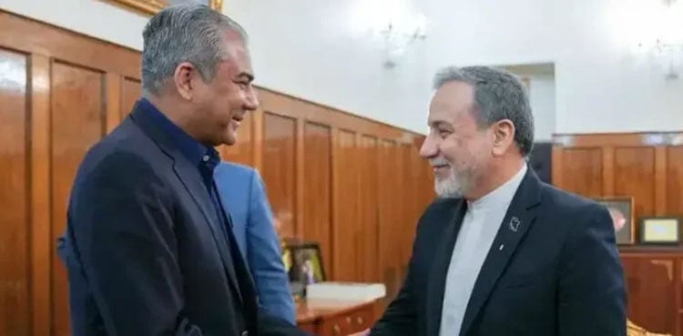 Mohsin Naqvi, Abbas Araghchi discuss Mideast situation