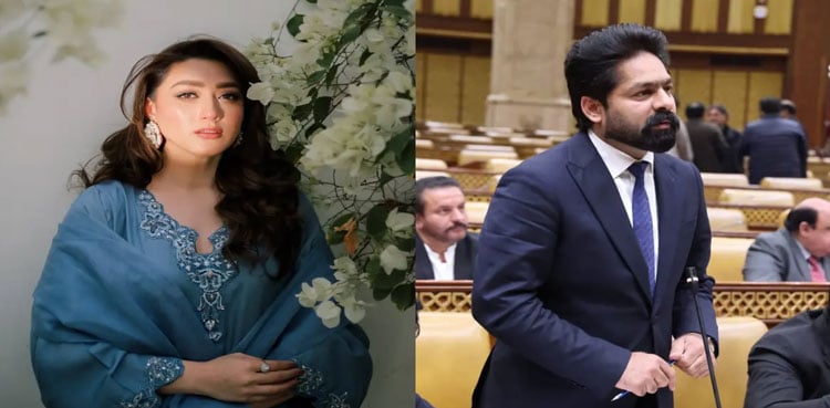 Maryam Nawaz breaks silence on Momina Iqbal, Saqib Chadhar case