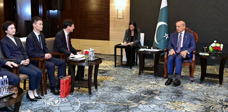 PM Shehbaz, Chinese firms discuss industrial cooperation under CPEC phase II
