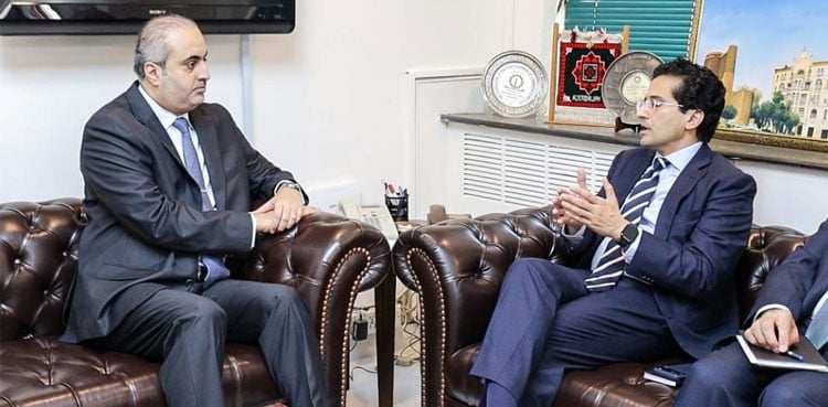 Pakistan, Qatar discuss strategic energy storage cooperation