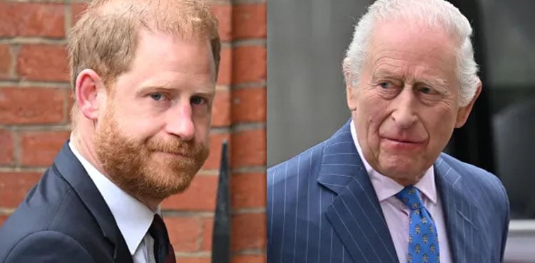 Prince Harry Unveils Clever Plan to Reconnect With King