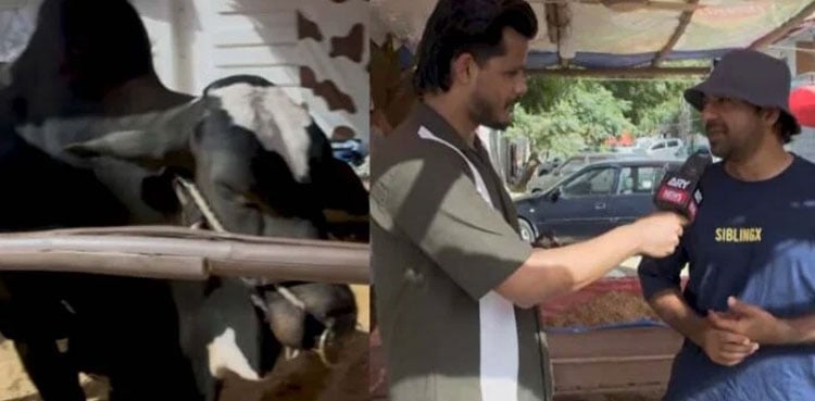 VIRAL: Sarfaraz Ahmed shows his two bulls before Eid al-Adha 2026