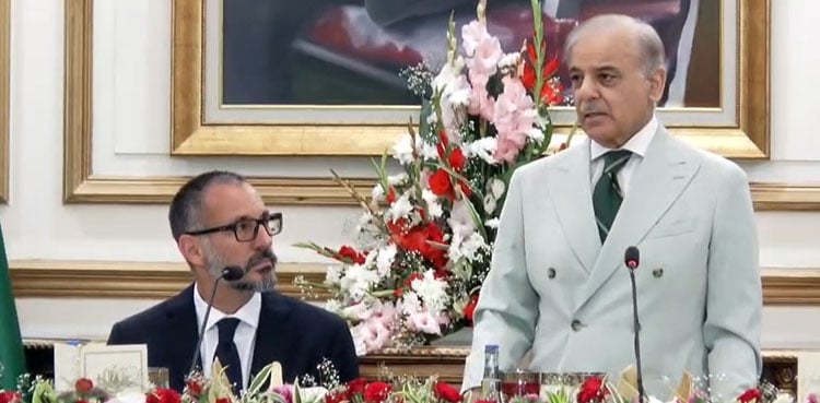PM Sharif reaffirms strong partnership with AKDN in meeting with Prince Rahim Aga Khan – V