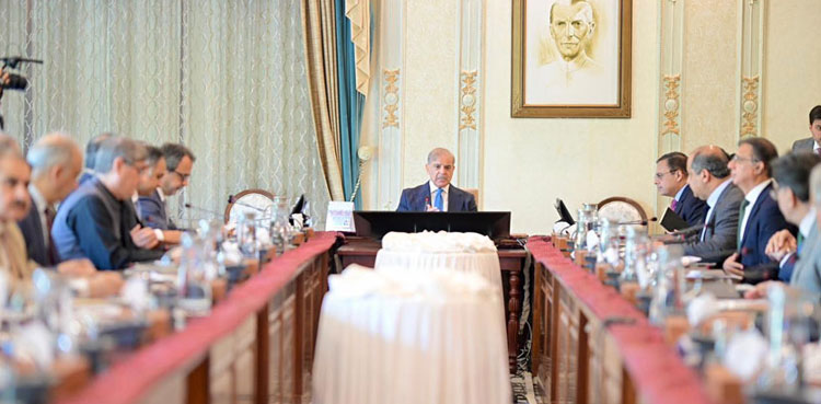 PM Sharif directs strategy to meet future energy requirements