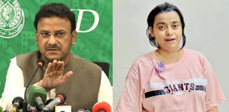 Anmol Pinky case: Home Minister Sindh makes major revelation