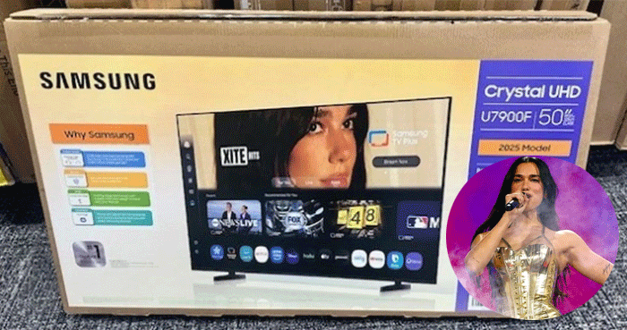 Dua Lipa Sues Samsung for $15 Million for ‘using’ her face without permission