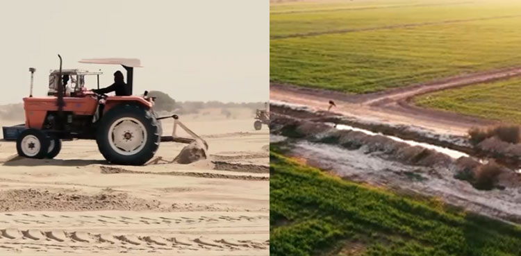 How GPI transformed barren land in Bhakkar into farmland in just four months