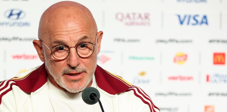 ‘Fired up’ Spain ready to hit back, says De la Fuente