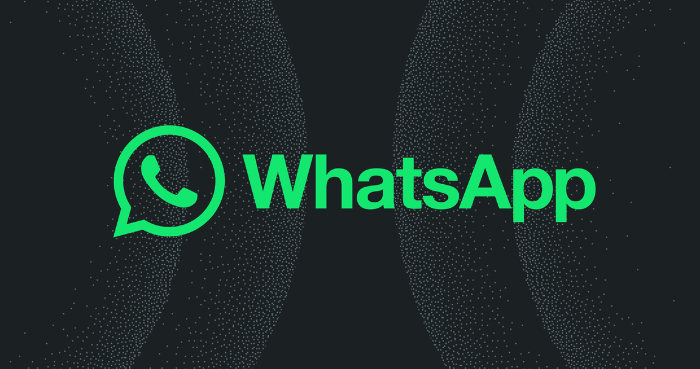 Meta ordered to give rival AI chatbots free WhatsApp access