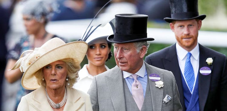 Queen Camilla warns King Charles: Harry reunion is a ‘huge gamble’