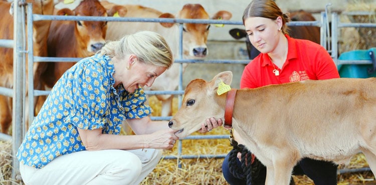 Duchess Sophie’s busy Jersey visit revealed
