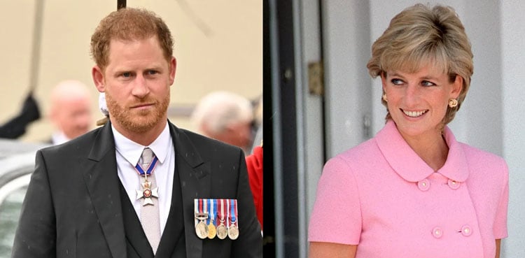 Prince Harry snubs King’s offer, eyes Diana’s Althorp for UK stay